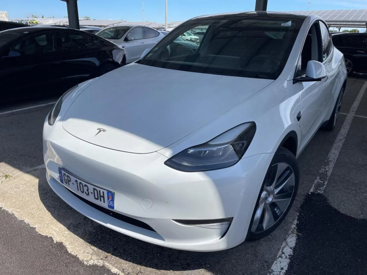 Tesla MODEL Y